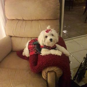 Meet your Posher, Janet